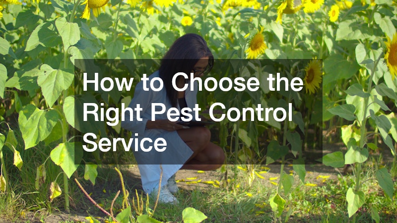 How to Choose the Right Pest Control Service